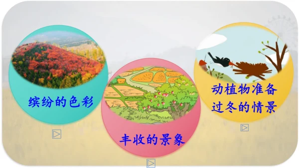 第6课 《秋天的雨》 课件