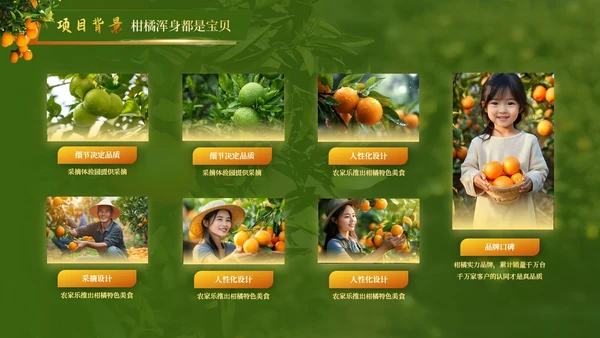 黄绿色高级创赛风农产品汇报PPT模板