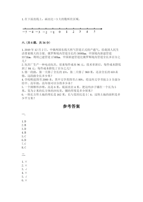 小学数学六年级下册竞赛试题精品加答案.docx