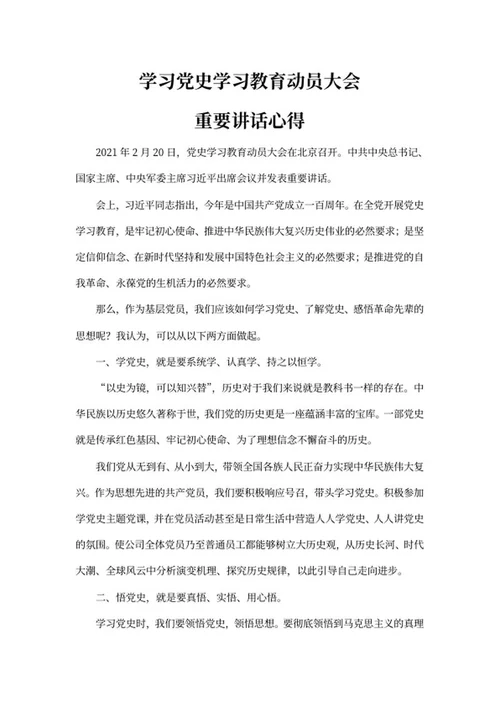 学习党史教育动员大会心得word模板