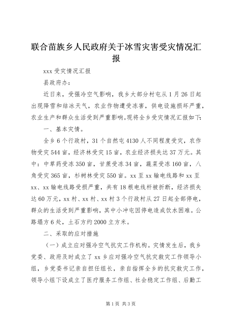 联合苗族乡人民政府关于冰雪灾害受灾情况汇报 (3).docx