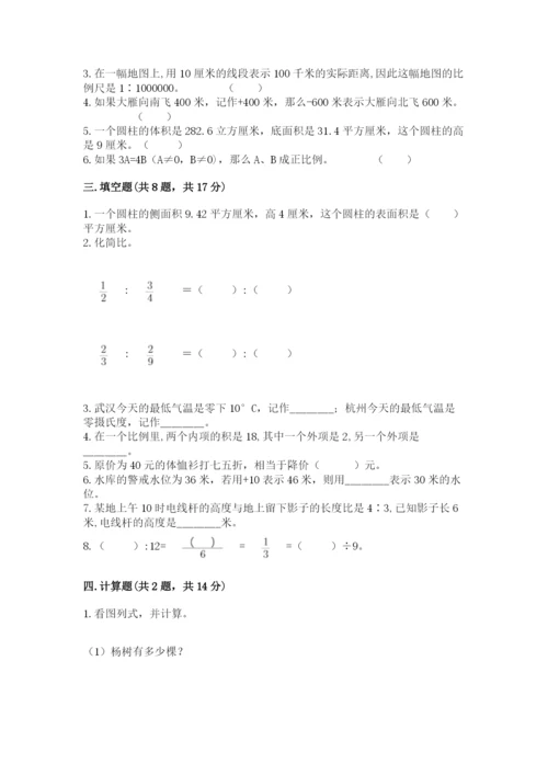 玛多县六年级下册数学期末测试卷（历年真题）.docx