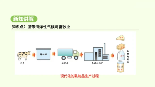 9.2 欧洲西部（课件32张）-2024-2025学年七年级地理下学期人教版(2024)