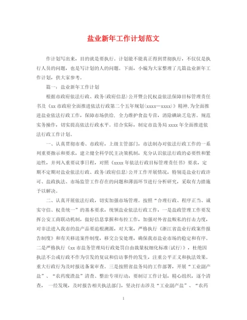 精编之盐业新年工作计划范文.docx