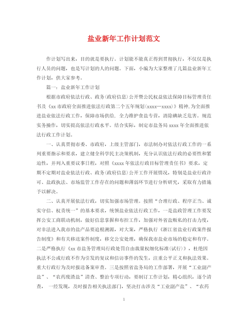 精编之盐业新年工作计划范文.docx