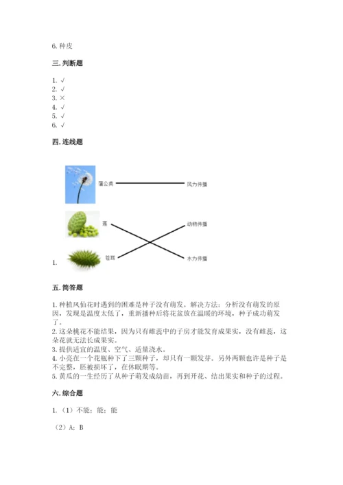 科学四年级下册第一单元植物的生长变化测试卷及答案【典优】.docx