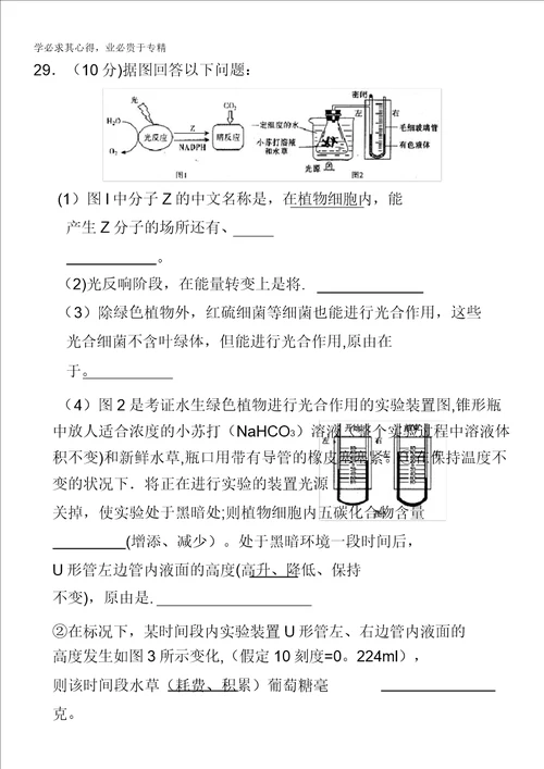 湖北省武汉市2012届高三五月供题训练二生物试题