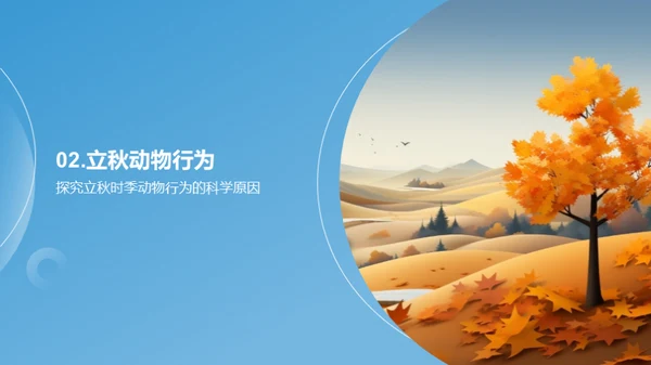 立秋季节的奇妙变化