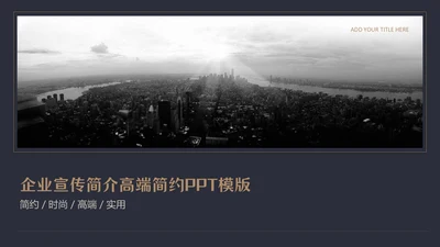 大气黑金企业宣传简介高端简约通用PPT模板
