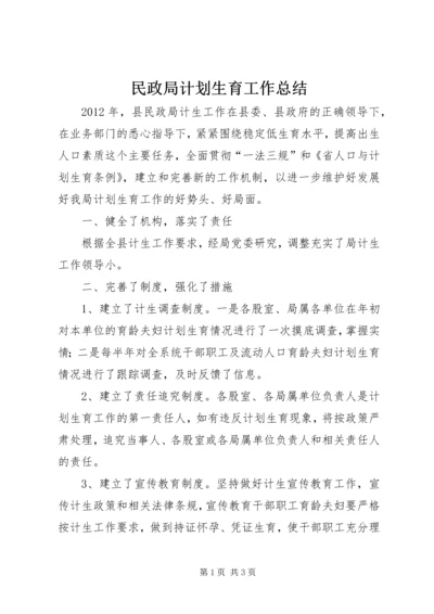 民政局计划生育工作总结.docx