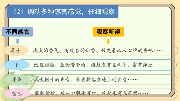 统编版语文三年级下册2024-2025学年度第一单元习作：我的植物朋友（课件）