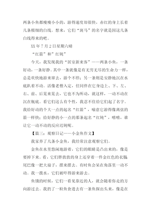 四年级作文观察日记-1.docx