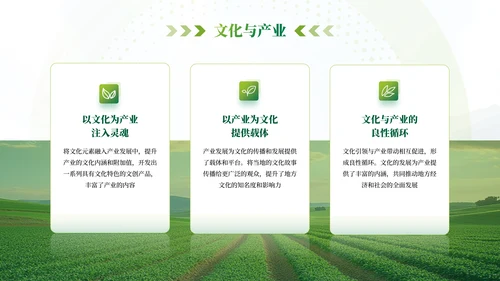 绿色农业乡村项目汇报PPT模板