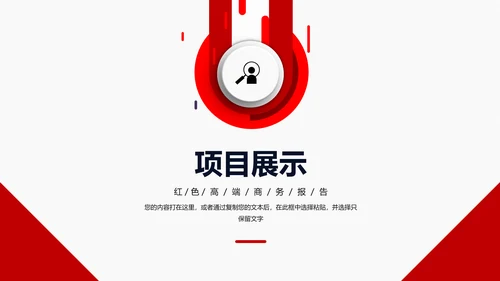 项目工作总结汇报