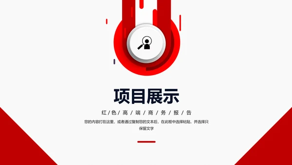 项目工作总结汇报