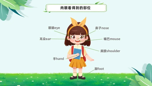 绿色小清新淡雅简约身体器官知多少幼儿园医学科普课件PPT