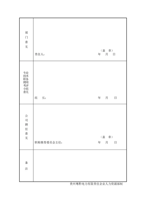 专业核心技术职务聘任实施专业方案.docx