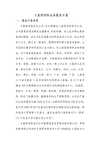 S集团国际业务服务专题方案.docx