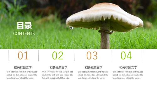 高清野生菌类动态PPT模板