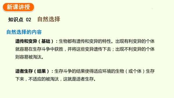 7.3.3生物进化的原因-八年级生物人教版下学期同步精品课件(共44张PPT)