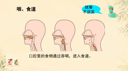 初中生物学人教版（新课程标准）七年级下册第4.2.2 消化和吸收课件(共21张PPT)