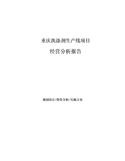 重庆洗涤剂生产线项目经营分析报告