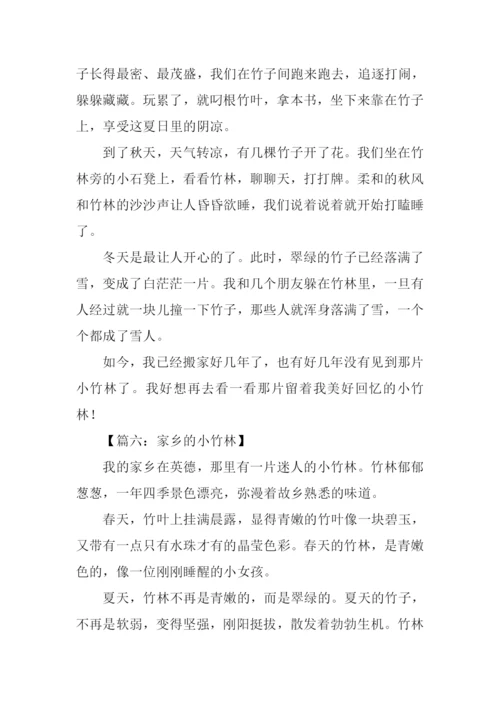 小竹林作文0.docx