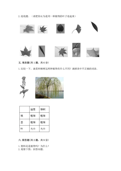 教科版科学一年级上册第一单元《植物》测试卷（word）.docx