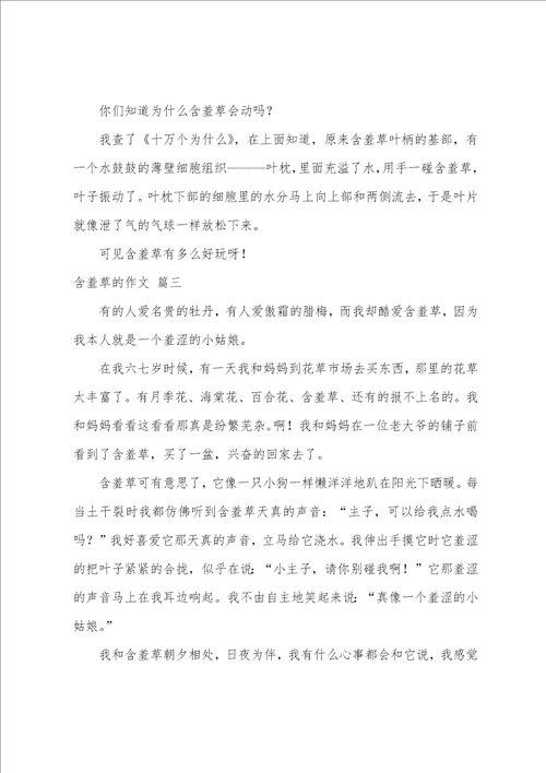 含羞草的作文精彩3篇