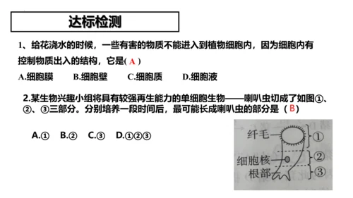 2.1.4细胞的生活课件2023--2024学年人教版生物七年级上册(共34张PPT)