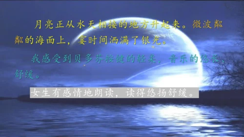 《月光曲》
