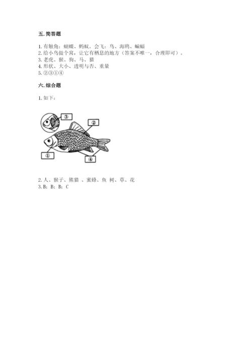 教科版一年级下册科学期末测试卷及参考答案ab卷.docx