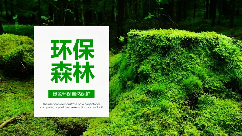 绿色环保世界湿地森林日动态PPT模板