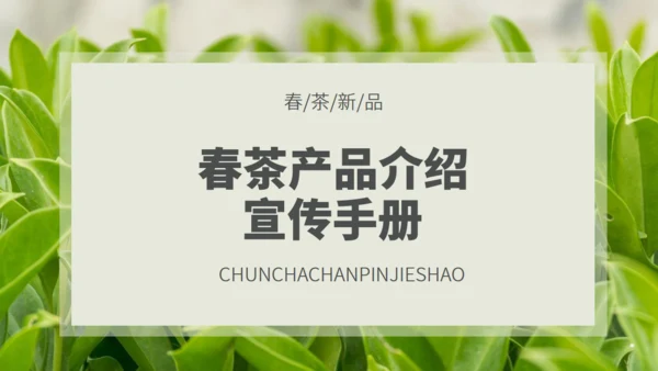 茶业店春茶产品介绍宣传手册通用PPT模板
