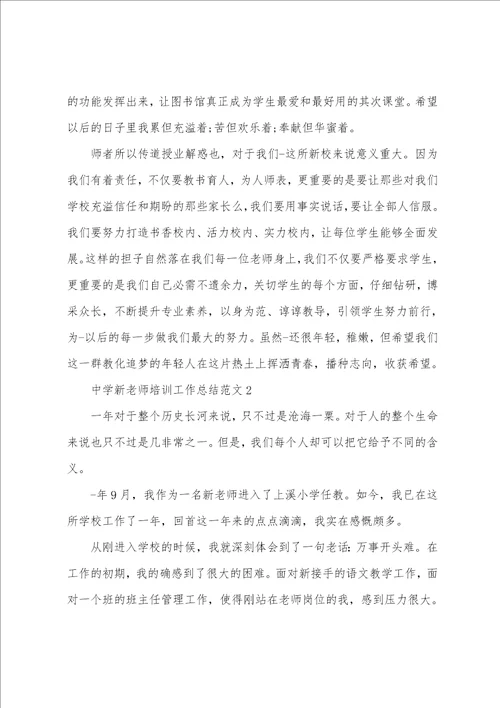 高中新教师培训工作总结范文5篇