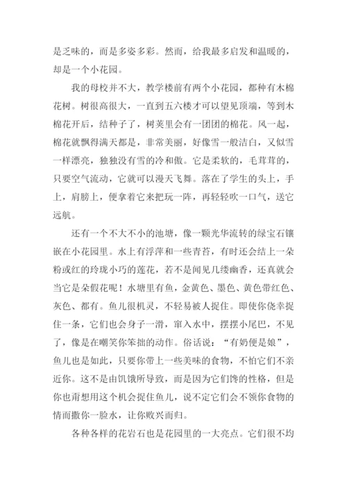 最美丽的记忆作文800字.docx