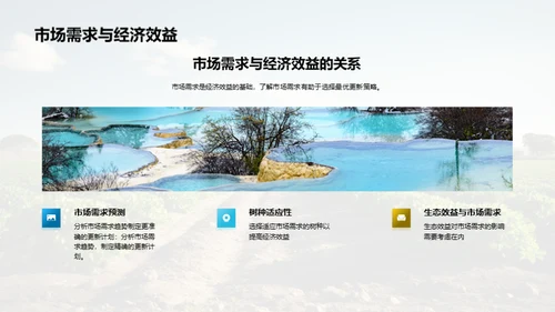 农林更新：投资与回报
