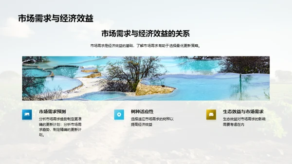农林更新：投资与回报