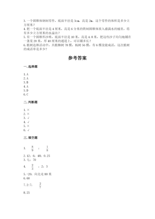 南京市江宁区六年级下册数学期末测试卷完美版.docx