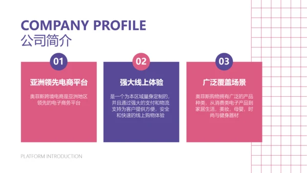 简约风跨境电商平台宣传介绍PPT