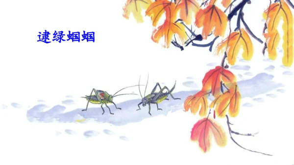 23祖先的摇篮（课件）