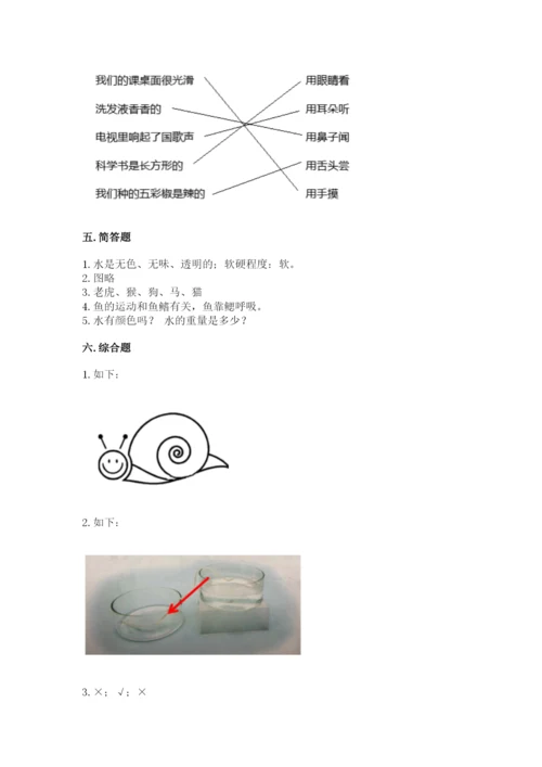 教科版一年级下册科学期末测试卷精品【模拟题】.docx