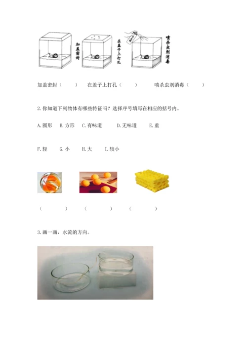 教科版一年级下册科学期末测试卷附答案（巩固）.docx