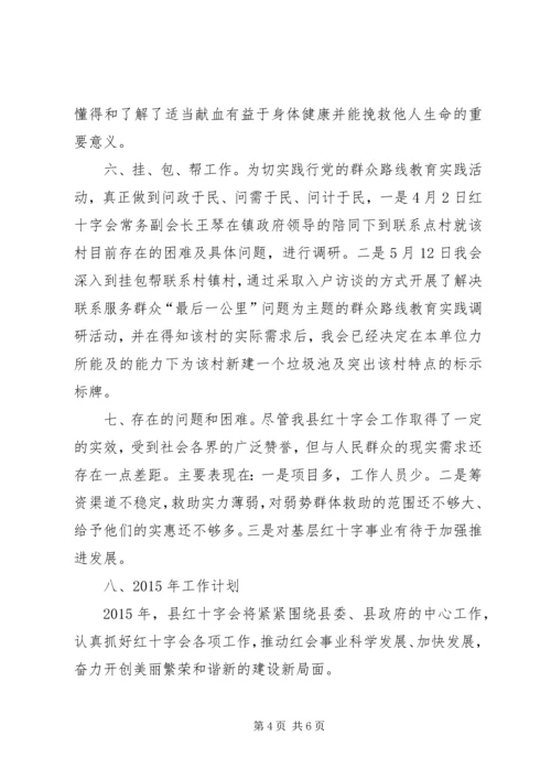 红十字会工作总结及工作计划.docx