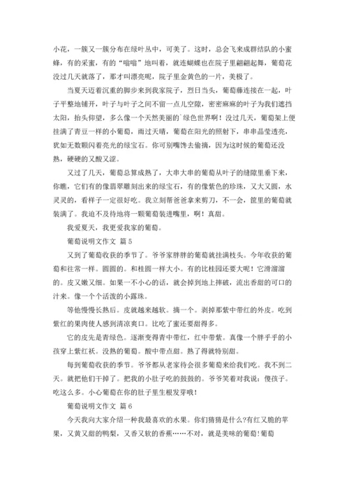 关于葡萄说明文作文锦集六篇.docx