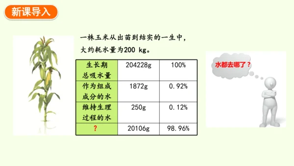 3.2.1水的利用与散失-七年级生物下学期同步精品课件（2024人教版）(共32张PPT)