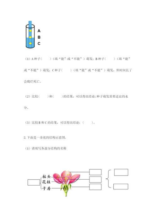 教科版科学四年级下册第一单元《植物的生长变化》测试卷精品（模拟题）.docx