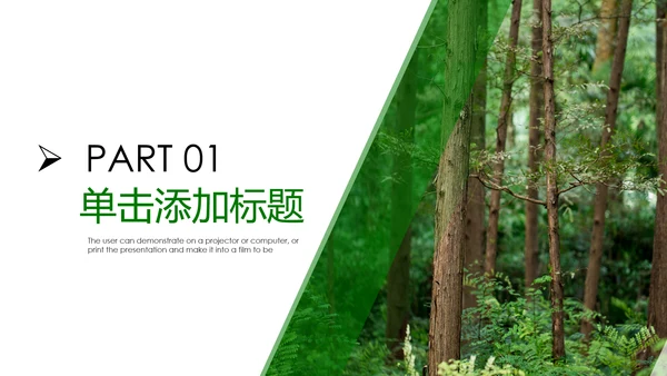 绿色森林湿地环境保护生态森林森业PPT模板