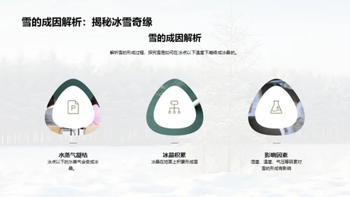 雪的奥秘与影响