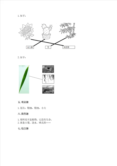 教科版科学一年级上册第一单元植物测试卷名师推荐word版